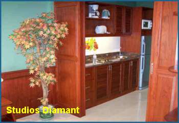 Fully equipped kitchen. twin studio for rent in Pattaya View Talay 2.