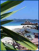 studio pas cher en location  View Talay Thailande